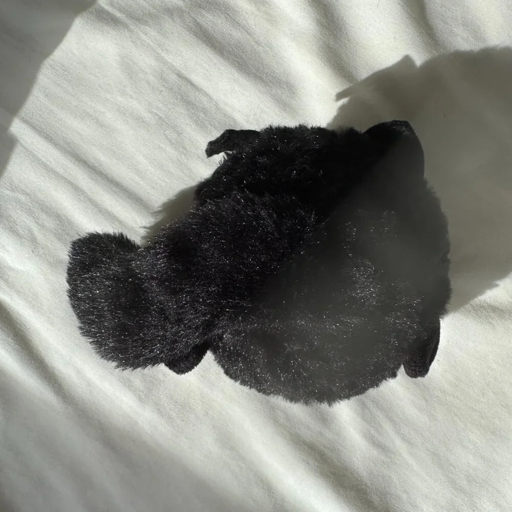 NWOT Bark Box BLACK ALLEY CAT Dog Toy, Super Chewer with Ball Inside, Size L